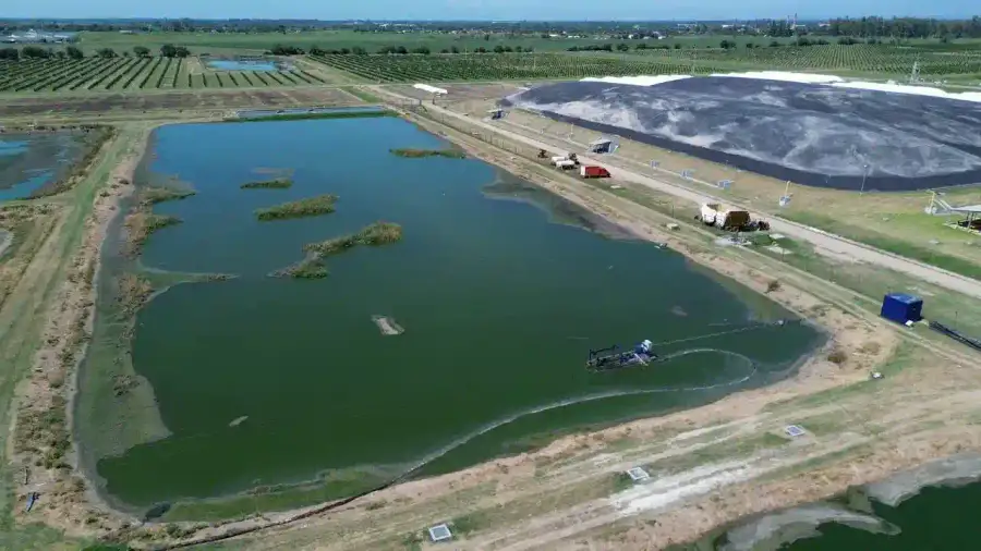 Limpieza de Lagunas